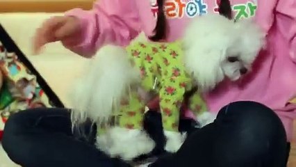 연수출장타이 OiOS2997S5327｛카톡KC789｝ぱ연수출장안@마ぱ연수출장샵ぱ연수출장맛사지 ぱ연수출장걸썰 연수출장걸가격 연수출장러시아 연수외국인후불출장업소 연수24시출장마사지샵'예약ぇえぉ