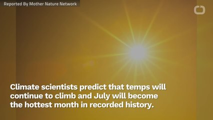 July Is Expected To Be The Hottest Month Ever Recorded On Earth