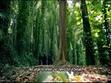 Swarna Asipatha - Part 02 | Golden Sword | Sinhala Movie | English Subtitles