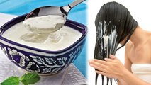 Curd को Hair में लगाती है तो जरूर देखें VIDEO | Right Use of Curd for Long, Smooth Hair | Boldsky
