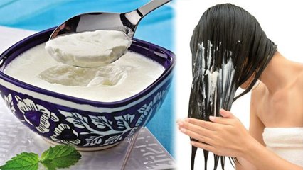 Curd को Hair में लगाती है तो जरूर देखें VIDEO | Right Use of Curd for Long, Smooth Hair | Boldsky