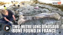 Giant dinosaur bone found in southwestern France