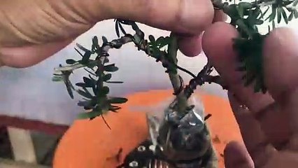 논산출장타이 OiOc2659c1768｛카톡KP93｝ぱ논산출장안@마ぱ논산출장샵ぱ논산출장맛사지 ぱ논산출장걸썰 논산출장걸가격 논산출장러시아 논산외국인후불출장업소 논산24시출장마사지샵'예약√◎≪