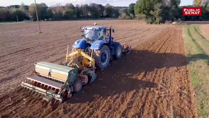 Avec Pascal Picquet - Parcours d'agriculteurs (26/07/2019)