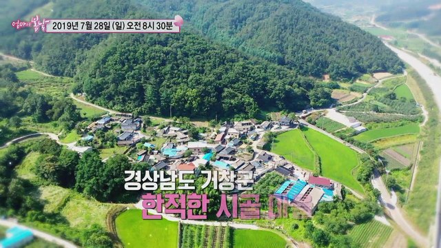 당신만이 내 사랑~_엄마의 봄날 202회 예고