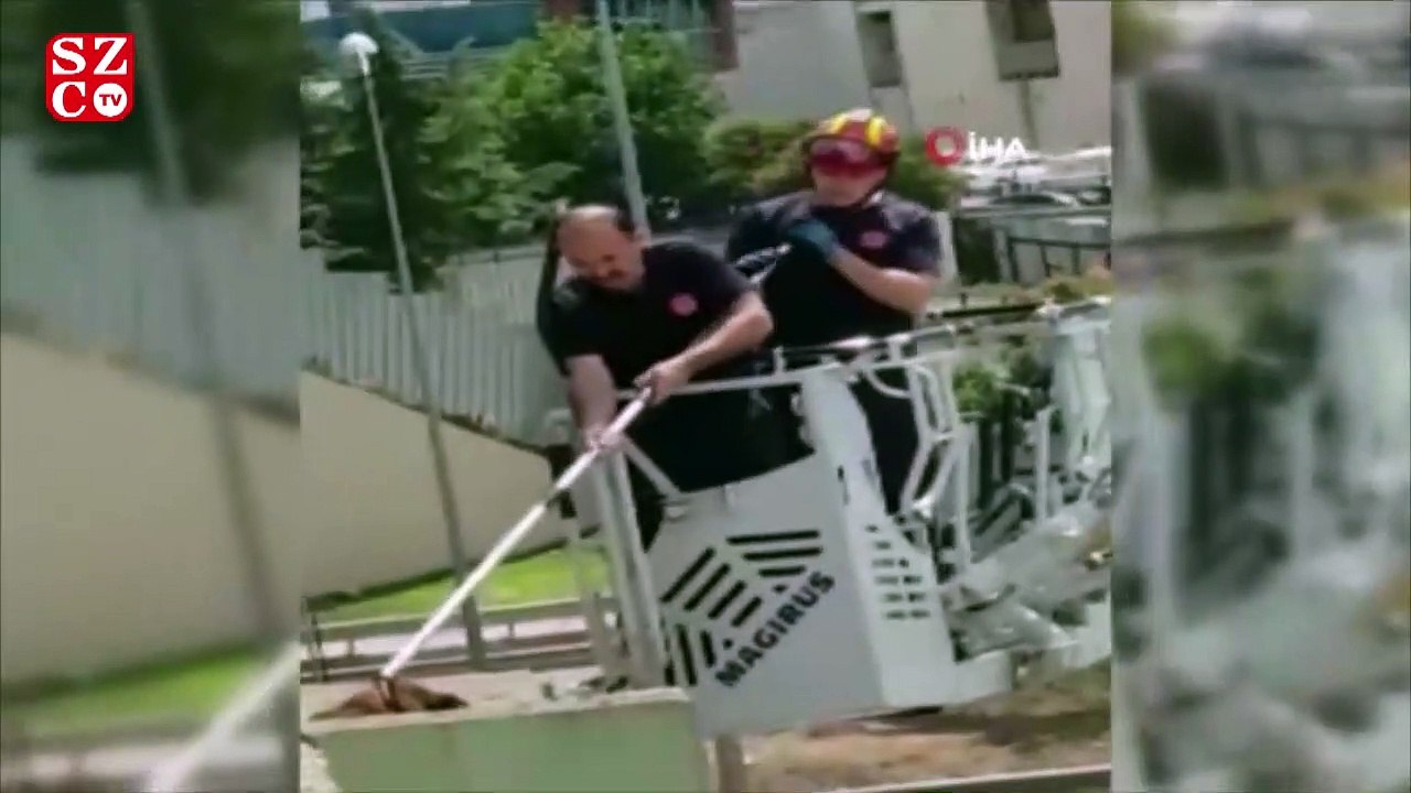 Üst geçitte mahsur kalan köpeği kurtarma operasyonu