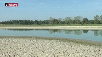 Les Dombes souffrent de la chaleur, les étangs asséchés