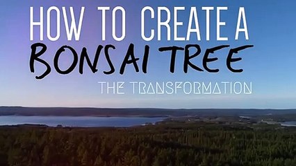 팔달출장안마 -후불100%ョO7OW7333W9649｛카톡LGT010｝ 팔달전지역출장안마 팔달오피걸 팔달출장마사지 팔달안마 팔달출장마사지 팔달콜걸샵ЛМН