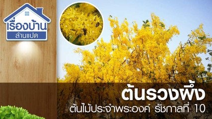 ต้นรวงผึ้ง ต้นไม้ประจำพระองค์ รัชกาลที่ 10