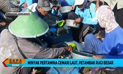 Sudah 2 Pekan Pipa Minyak Pertamina Bocor, Petambak Bandeng Rugi Puluhan Juta Rupiah