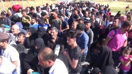 Sınır kapısında 40 derece sıcakta Suriyeli izdihamı