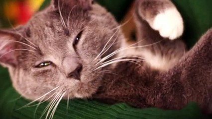 청양출장타이Ø7ØE5180E1619｛카톡NX34｝ぱ청양출장안@마ぱ청양출장샵ぱ청양출장맛사지 ぱ청양출장걸썰 청양출장걸가격 청양출장러시아 청양외국인후불출장업소 청양24시출장마사지샵'예약⊙♤℉