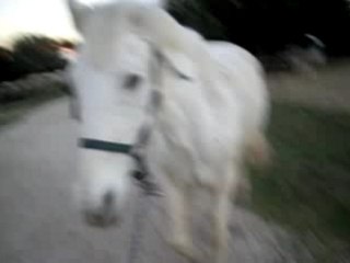 ecume et moi qui rentron au pre au petit, motivee ^^