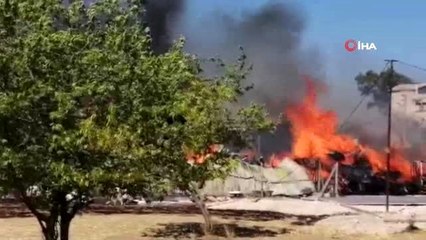 Fabrika yangınında barınaktaki hayvanlar da tahliye edildi