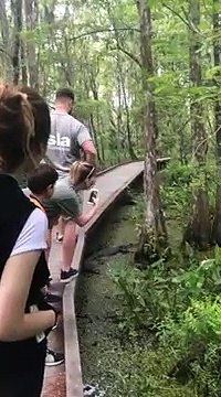 Il fait tomber son téléphone portable tout près d'un crocodile