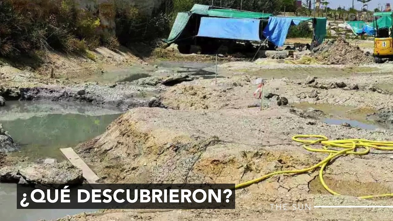 Los arqueólogos encuentran algo excepcional sobre el "dinosaurio más grande del mundo"