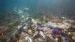 La Méditerranée est la mer la plus polluée d'Europe avec près de 200 déchets par km2