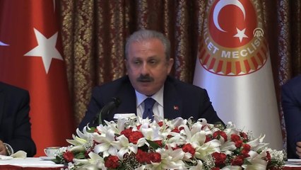 TBMM Başkanı Mustafa Şentop (2) - TBMM