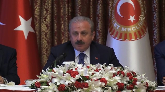 TBMM Başkanı Mustafa Şentop (2) - TBMM