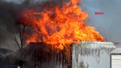 İZMİR'DE PALET DEPOSUNDA YANGIN-3