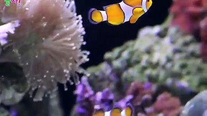 가평출장안마 -후불100%ョØ1ØA8109A5900｛카톡GD825｝ 가평전지역출장안마 가평오피걸 가평출장마사지 가평안마 가평출장마사지 가평콜걸샵√◎≪