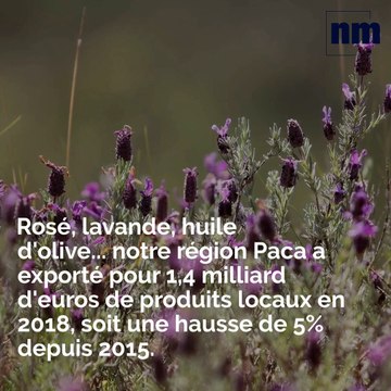 Exportations de nos produits, Miss Provence 2019, Bus gratuits pendant la canicule: votre brief de vendredi après-midi