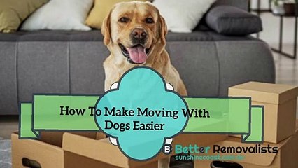 How To Make Moving With Dogs Easier