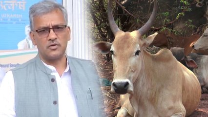 Trivendra singh speech | பசு சுவாச பிரச்சனையை தீர்க்கிறது.. உத்தரகாண்ட் முதல்வர் பேச்சு- வீடியோ