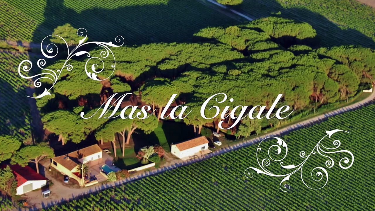 Présentation mas la cigale à Montcalm en petite camargue