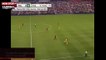 Football : un chat vient perturber André-Pierre Gignac lors d'un match (vidéo)