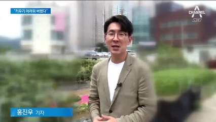 밀양 신생아 진짜 친모 잡혔다…“아기 키울 형편이 안 됐다”