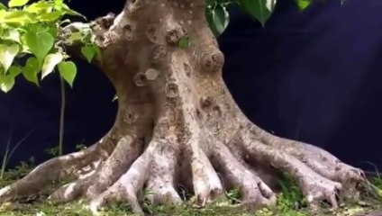 상무출장안마 -후불100%ョOiOs2671s8135｛카톡ZHF526｝ 상무전지역출장안마 상무오피걸 상무출장마사지 상무안마 상무출장마사지 상무콜걸샵∀∑