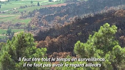 Les vigies, acteurs de l'ombre dans la prévention des incendies