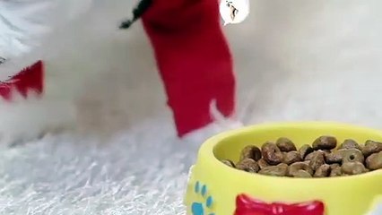 종로출장안마 -후불100%ョ OiOW2671W8135｛카톡AQ52｝ 종로전지역출장안마 종로오피걸 종로출장마사지 종로안마 종로출장마사지 종로콜걸샵ŁØŒ