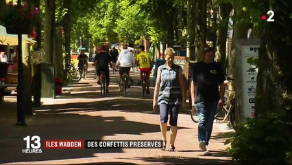 Pays-Bas : l'île de Vlieland, un écrin de verdure en mer du Nord