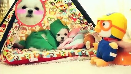 신시가지출장안마 -후불100%ョ OiOW2671W8135｛카톡ZHF526｝ 신시가지전지역출장안마 신시가지오피걸 신시가지출장마사지 신시가지안마 신시가지출장마사지 신시가지콜걸샵パヒビ