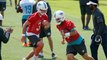 Would the Dolphins Be Making a Mistake Starting Ryan Fitzpatrick Over Josh Rosen?
