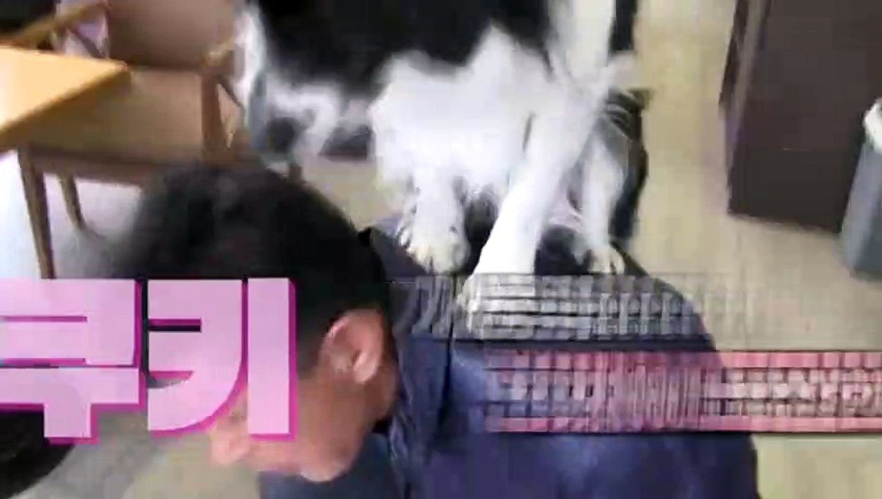 하동출장안마 -후불100%ョOiOg8109g5900｛카톡GD825｝ 하동전지역출장안마 하동오피걸 하동출장마사지 하동안마 하동출장마사지 하동콜걸샵♪∀