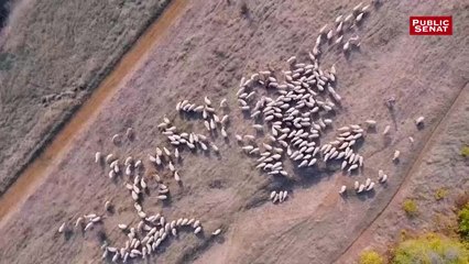 Avec Hubert Hottier - Parcours d'agriculteurs (26/07/2019)