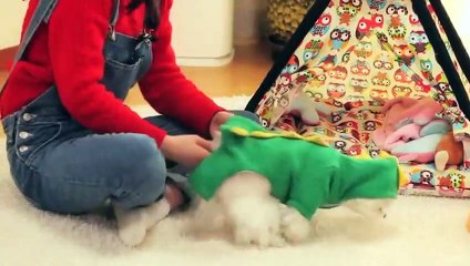 고령출장타이OiOg8109g5900｛카톡OYO78｝ぱ고령출장안@마ぱ고령출장샵ぱ고령출장맛사지 ぱ고령출장걸썰 고령출장걸가격 고령출장러시아 고령외국인후불출장업소 고령24시출장마사지샵'예약★●◎