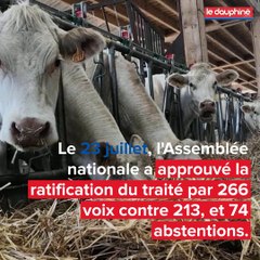 En Isère, les conséquences du Ceta inquiètent