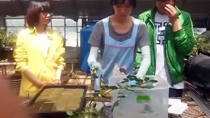 성산구출장안마 -후불100%ョOiOy2997y5327｛카톡KC789｝ 성산구전지역출장안마 성산구오피걸 성산구출장마사지 성산구안마 성산구출장마사지 성산구콜걸샵♪▩▦