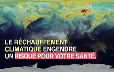 Alerte : ces champignons mortels prolifèrent à cause de la chaleur !