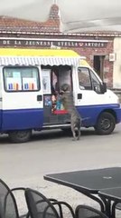 Dans les Hauts-Pays, le glacier rafraîchit aussi les chiens!