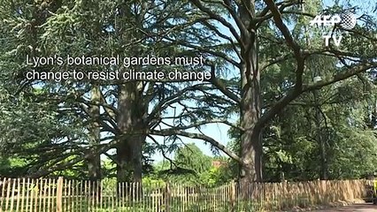 Lyon landscapers search for plants able to resist climate change