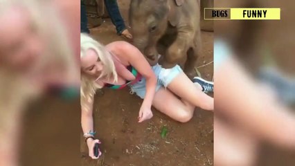 Hayvanların Çok Komik Dünyası - Very Funny World of Animals