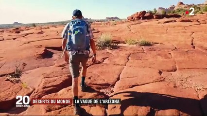 Désert de l'Arizona : un des plus beaux déserts du monde