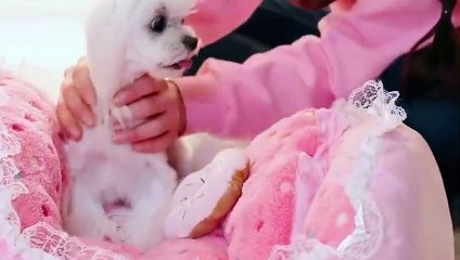 고흥출장타이070c7575c0048｛카톡XN94｝ぱ고흥출장안@마ぱ고흥출장샵ぱ고흥출장맛사지 ぱ고흥출장걸썰 고흥출장걸가격 고흥출장러시아 고흥외국인후불출장업소 고흥24시출장마사지샵'예약▣◑▒