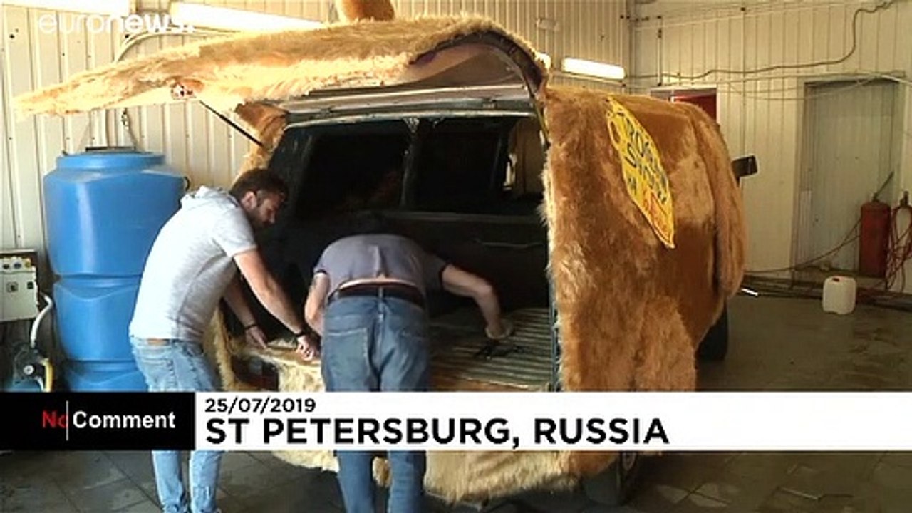 Hunde-Van aus 'Dumm und Dümmer' on the road