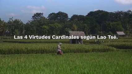 Las 4 Virtudes Cardinales Según Lao Tse